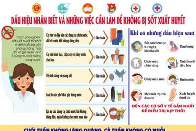 PHÒNG, CHỐNG DỊCH SỐT XUẤT HUYẾT